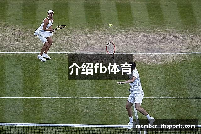 介绍fb体育